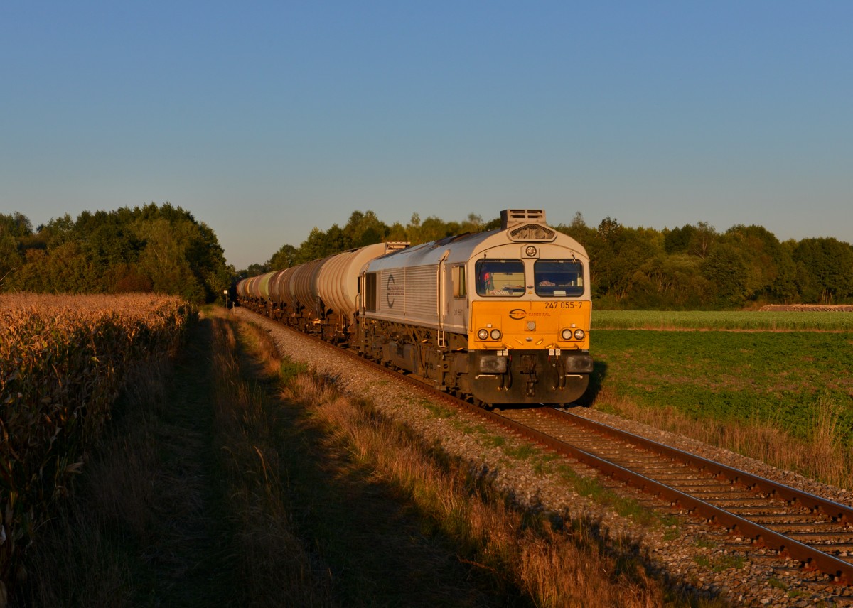 247 055 mit einem Kesselzug am 02.10.2015 bei Heiligenstatt. 