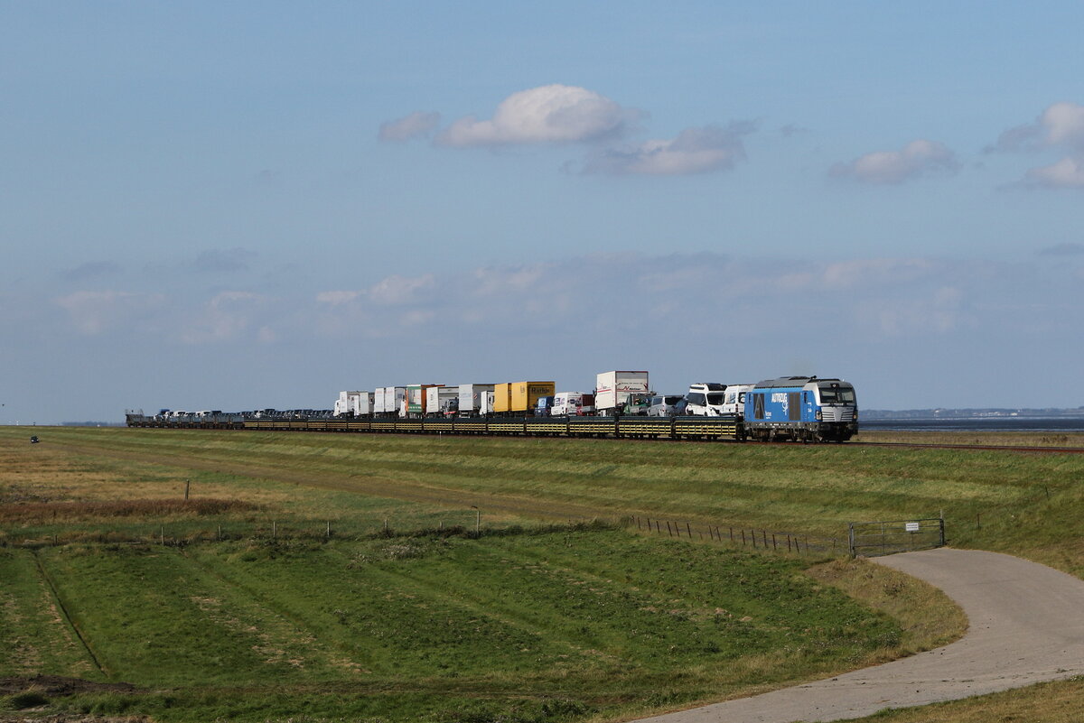 247 908  Debbie  mit einem Autozug aus Sylt kommend am 15. September 2023 3bei Klanxbüll.