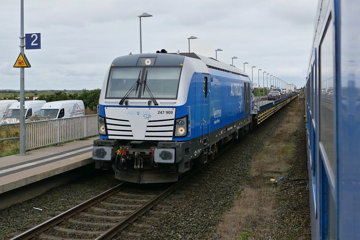 247 909 mit dem  blauen AUTOZUG Sylt  nach Niebüll begegnet am 28.08.2021 in Morsum dem ALPEN-SYLT Nachtexpress von Konstanz/Salzburg nach Westerland (Sylt)