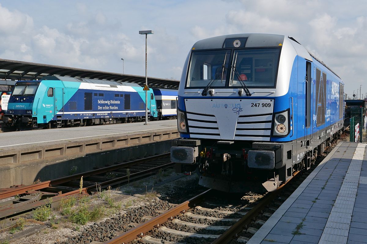 247 909 der RDC AUTOZUG Sylt auf Rangierfahrt in Westerland (Sylt) am 06.09.2021