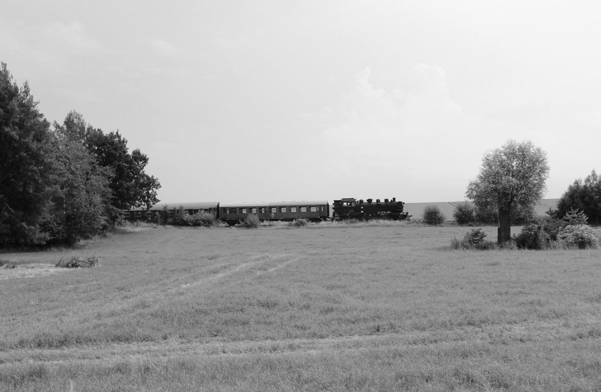 25 Jahre Wismut hieß es am 25.06.16. Deshalb fuhr 86 1333-3 und V300 005 den Pendelzug zwischen Schmirchau nach Kayna und zurück. Hier der Zug bei Hartha.