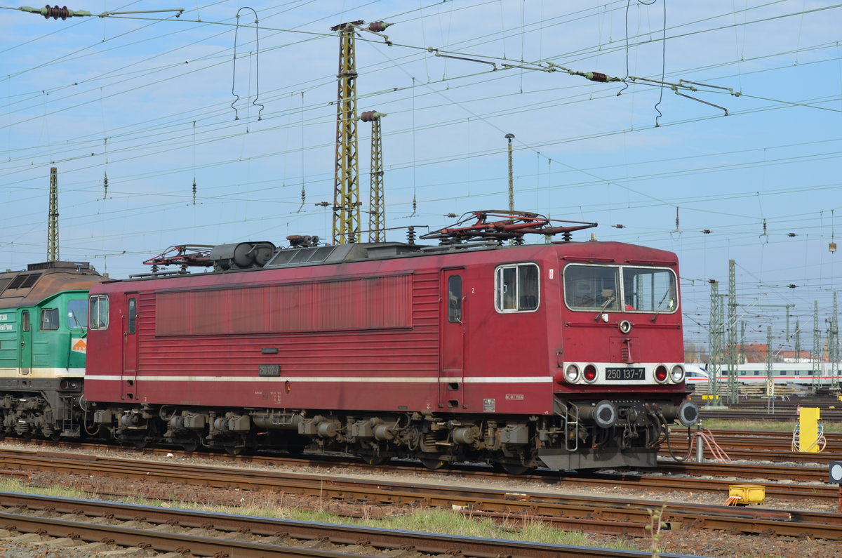 250 137-7 / 155 137-3 der LEG - Leipziger Eisenbahngesellschaft mbH am Leipzig Hbf 11.04.2018