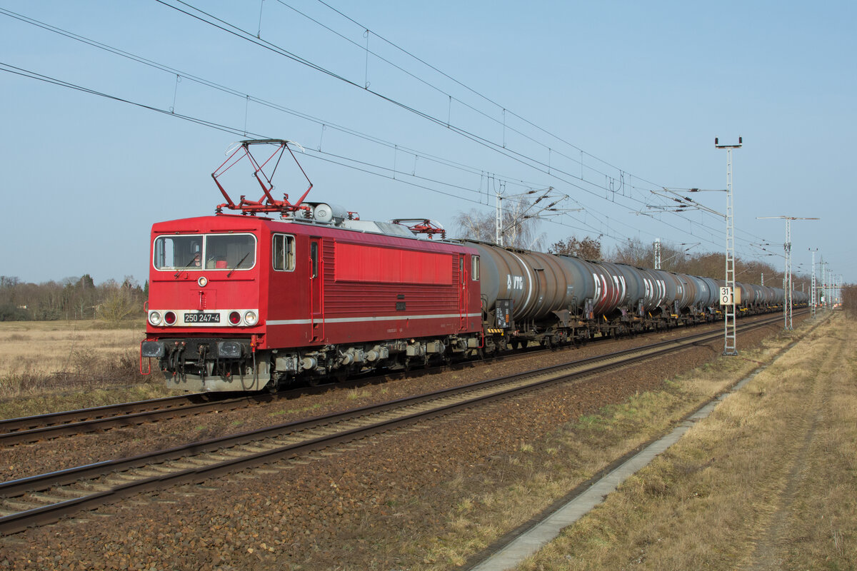 250 247 mit einem Kesselzug bei Waßmannsdorf, in Richtung Westen. 24.Februar.2021