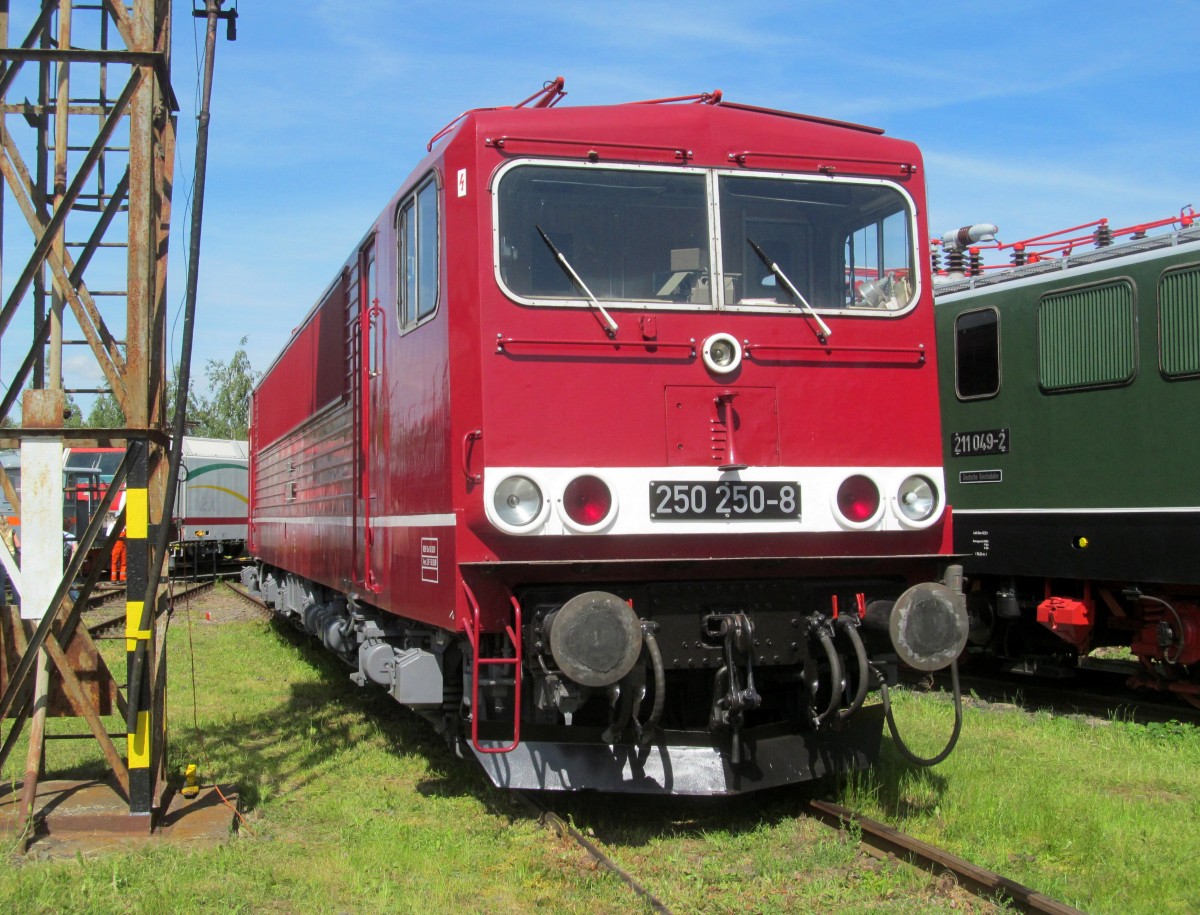 250 250-8 steht am 25. Mai 2014 im Bw Weimar.