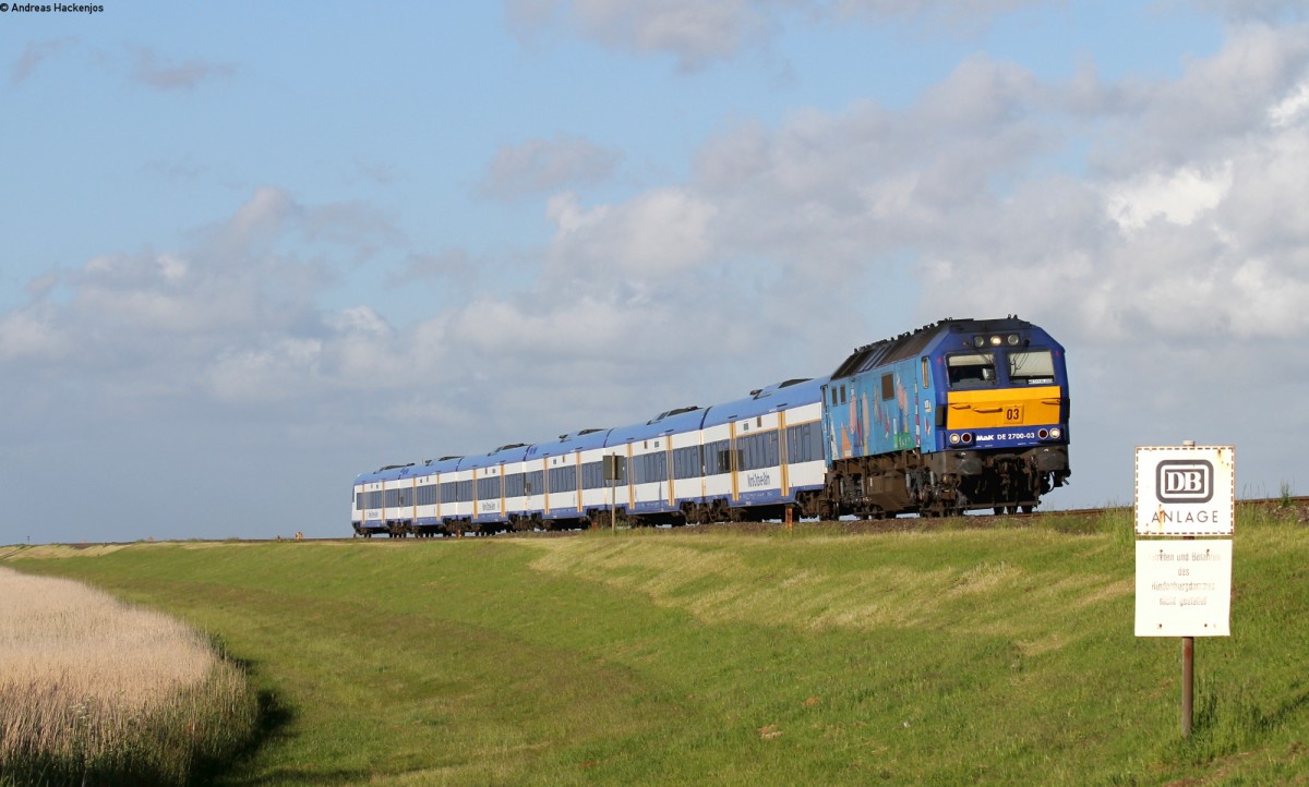 251 003-0 mit der NOB81722 (Hamburg Altona-Westerland(Sylt)) bei Morsum 6.6.15