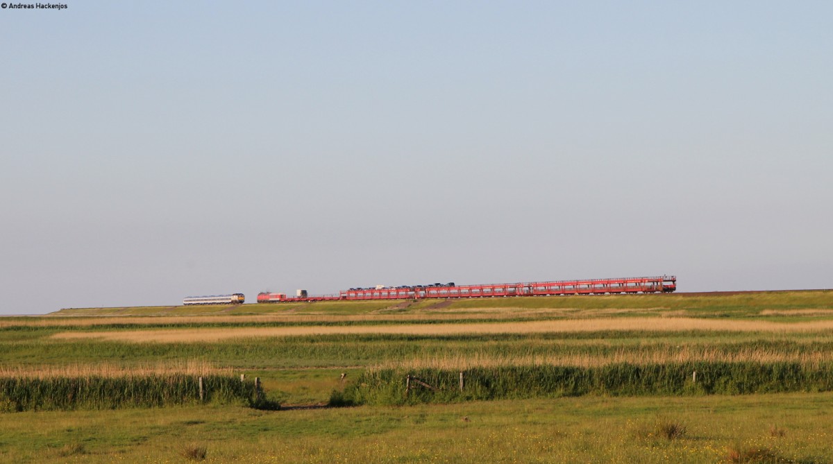 251 005-5 mit der NOB81724 (Hamburg Altona-Westerland(Sylt)) begegnet zwei unbekannten 218ern mit dem AS 1461 (Westerland(Sylt)-Niebüll) bei Morsum 29.5.14