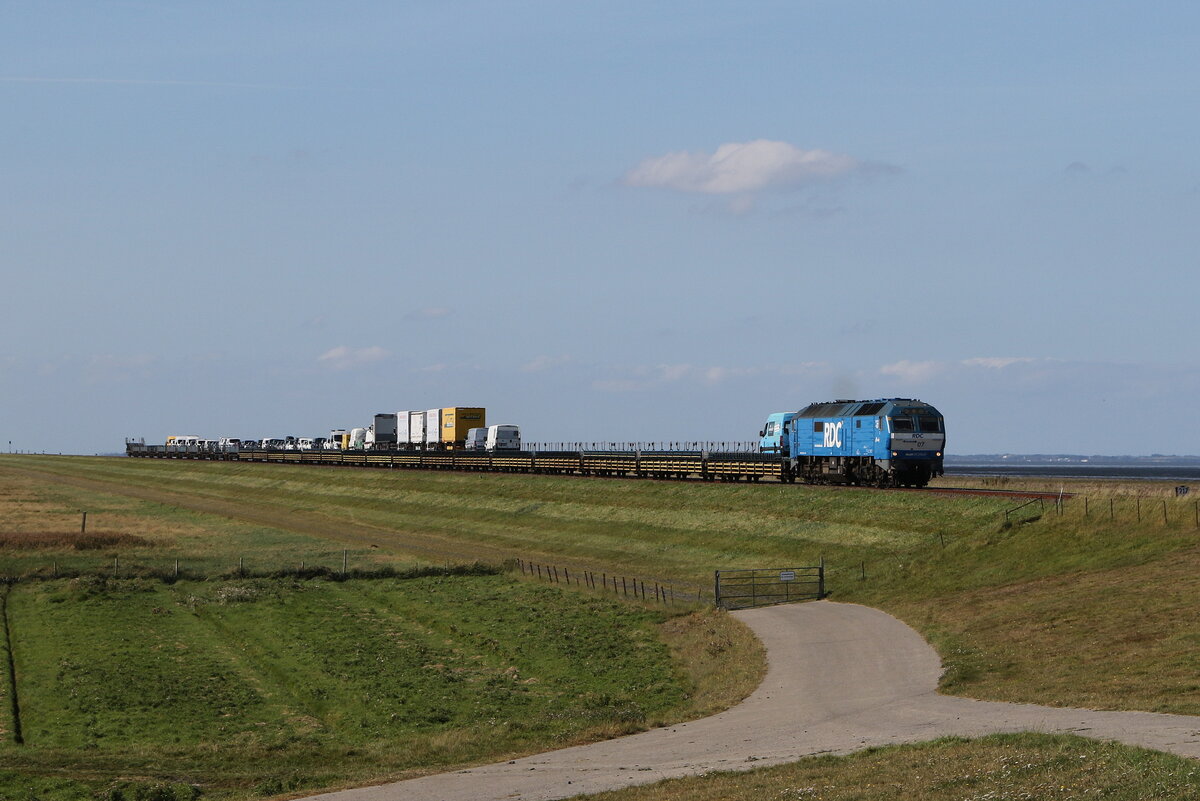 251 007  Cindy  mit einem schwach beladenem Autozug von Sylt kommend am 15. September 2023 bei Klanxbüll.