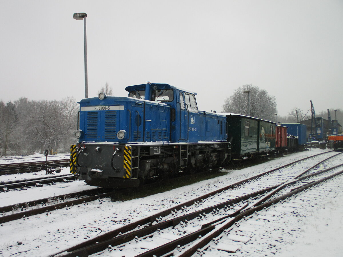251 901,im Wintersclaf,am 10.Dezember 2021,in Putbus.