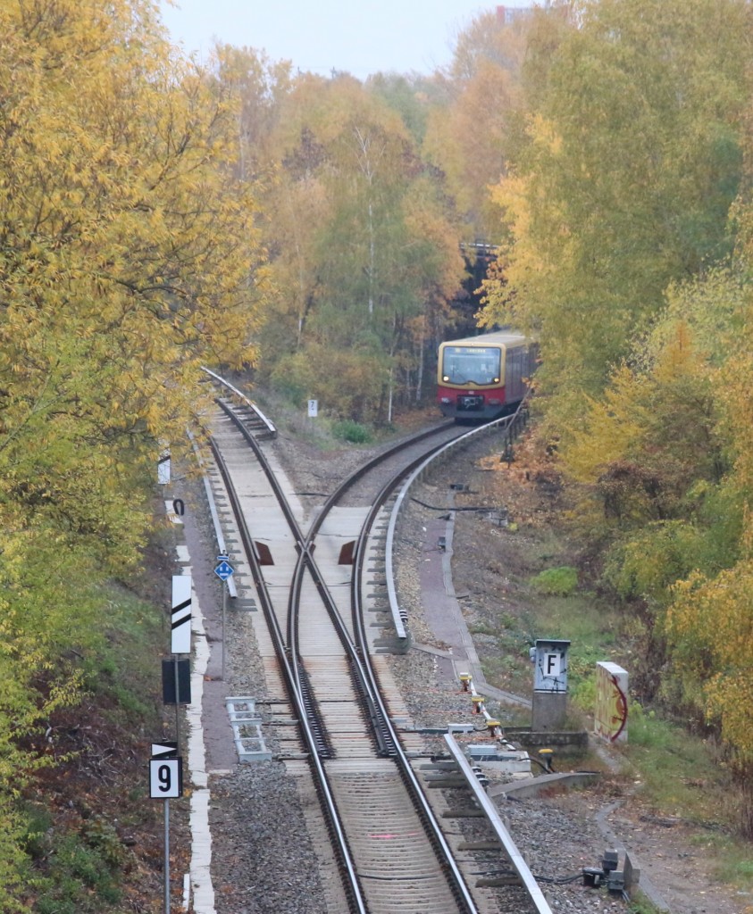 25.10.2015 S 5 / Spandau im Bereich des Biesdorfer Kreuzes