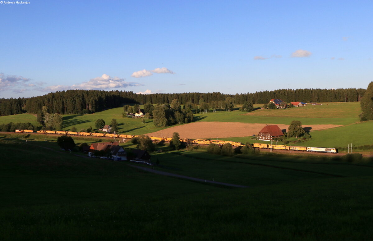 264 006-8 mit dem DGV 92730 (Würzburg Rbf-Radolfzell Gbf) bei Stockburg 8.8.21