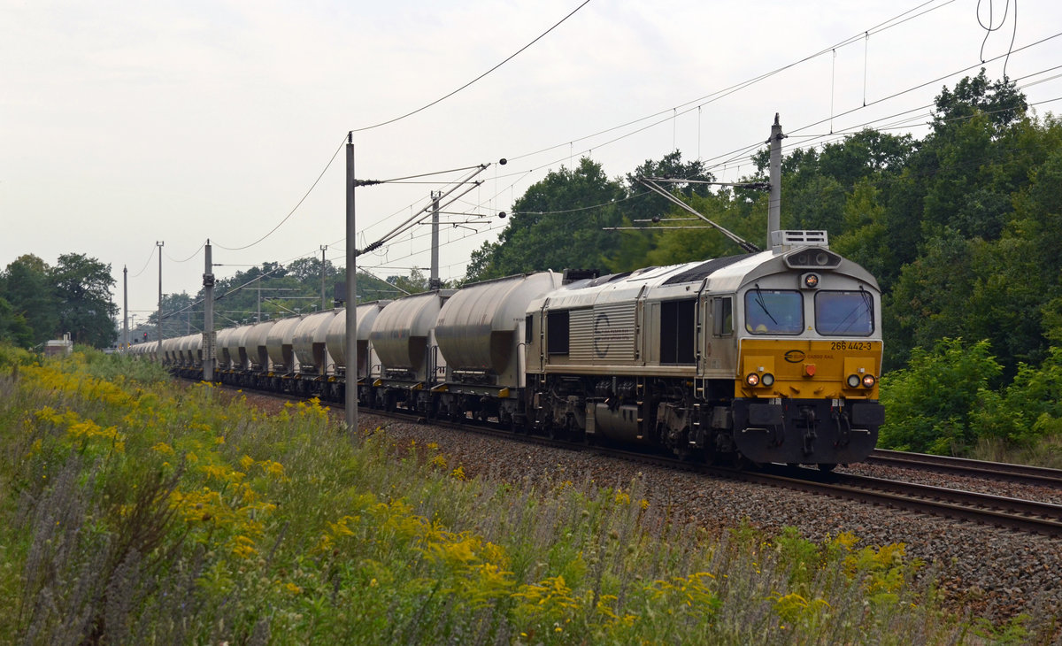 266 442 der ECR, welche von der MEG eingesetzt wird, bespannte am 26.08.17 den Leerzementzug nach Rüdersdorf. Hier rollt der Zug durch Burgkemnitz Richtung Wittenberg.