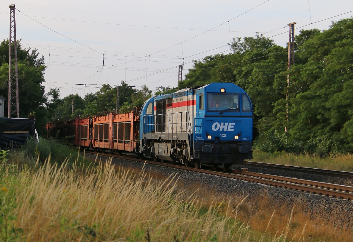 273 001-8 (1028) der OHE mit leeren Autotransportwagen in Fahrtrichtung Eystrup. Aufgenommen bei Wahnebergen am 23.07.2015.