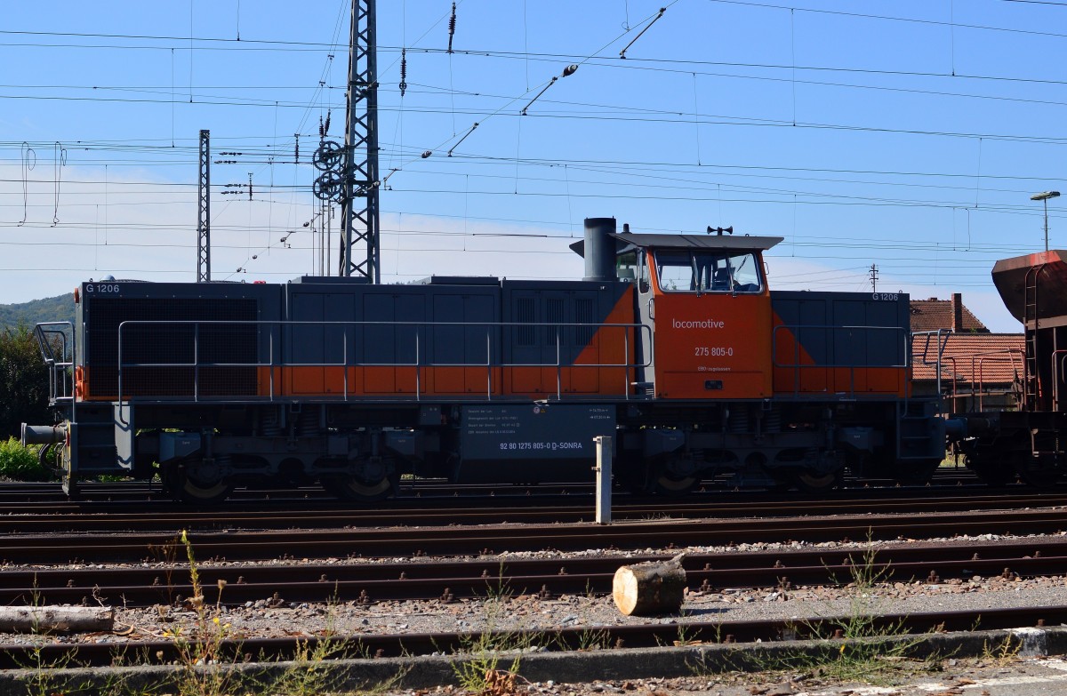 275 805-0 in Mosbach abgestellt. 11.9.2015