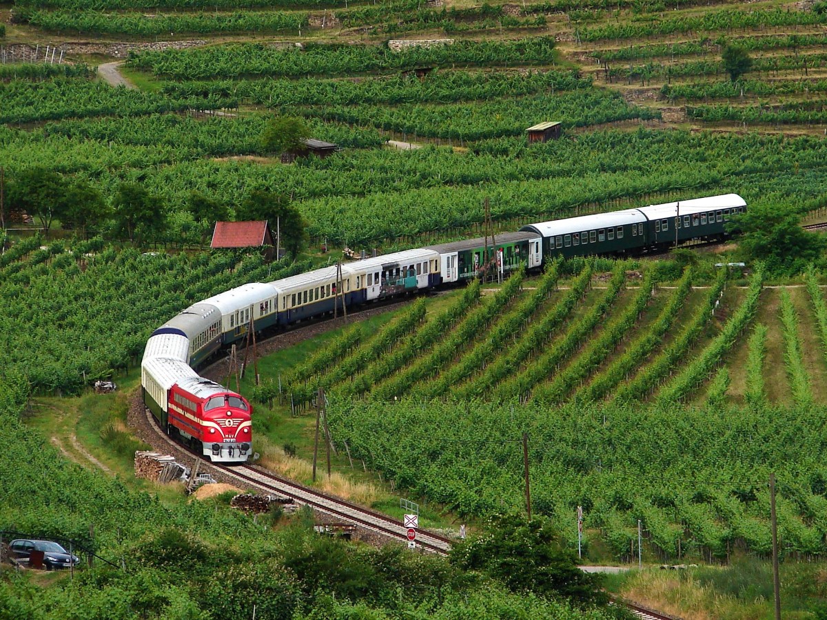 2761 017 (M61 017) mit Sonnwendfeier Sonderzug von Budapest nach Spitz an der Donau zwischen Dürnstein und Weissenkirchen. 21.06.2014.