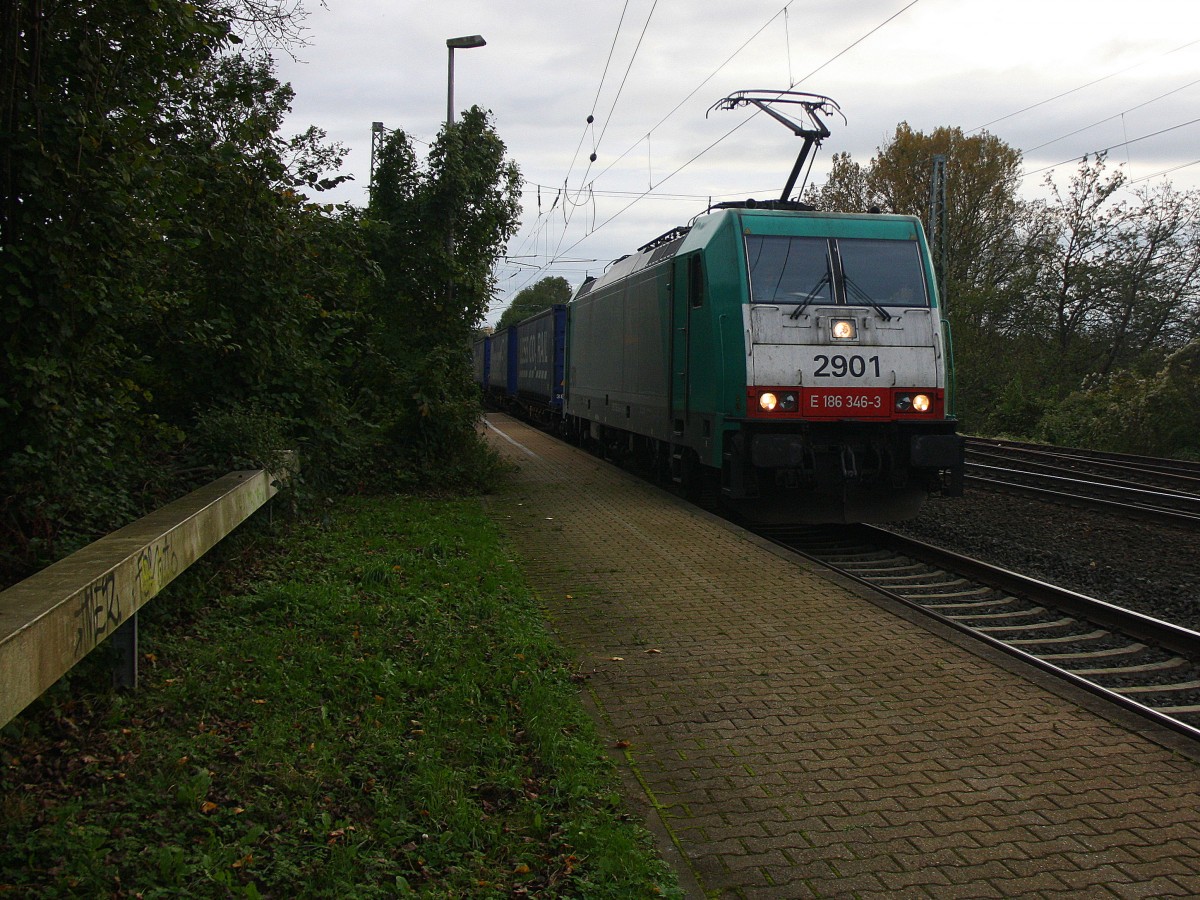2901 von Alpha Trains kommt durch Kohlscheid aus Richtung Aachen-West,Laurensberg,Richterich mit einem langen Stobartzug aus England nach Neuss und fährt in Richtung Herzogenrath,Neuss.
Am Abend vom 24.10.2014.
Und das  ist mein 3800tes Bahnbild bei http://WWW.Bahnbilder de.