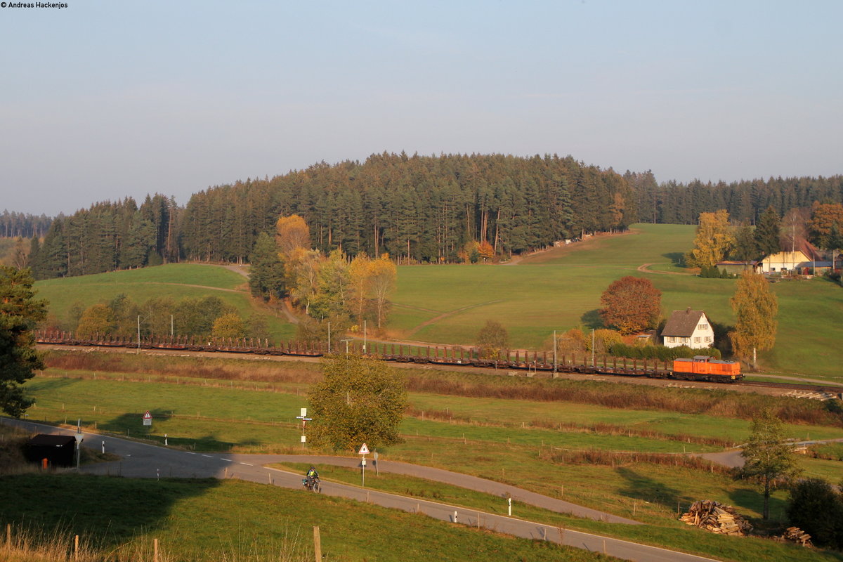 293 902-3 mit dem DGS 95564 (Hausach-Immendingen) bei Stockburg 19.10.18