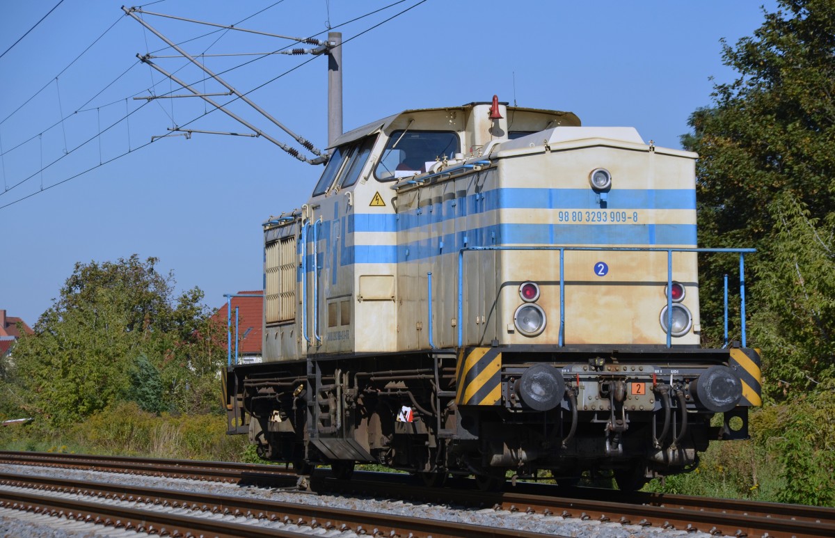 293 909 der ITB fuhr am 01.10.13 Lz durch Greppin Richtung Dessau. 