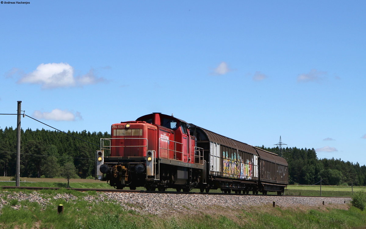 294 631-7 mit dem EK 55837 (Villingen(Schwarzw)-Neustadt(Schwarzw)) bei Rötenbach 22.6.16