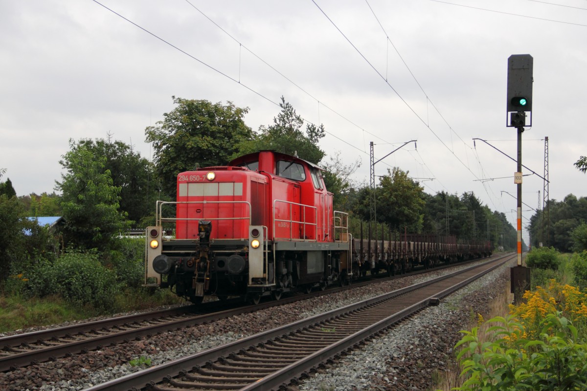 294 650-7 DB Schenker Rail bei Bamberg am 11.09.2013.