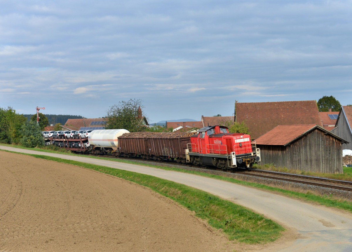 294 717 mit einem G�terzug am 30.09.2013 bei Kothmai�ling.