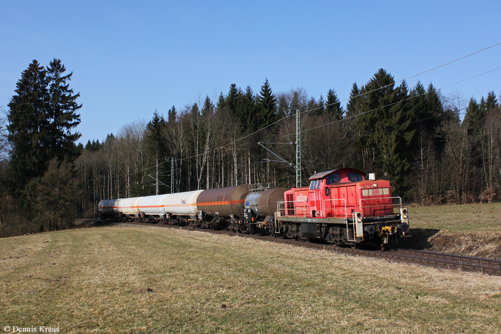294 734 mit EK 56361 am 18.03.2015 bei Baierbrunn.