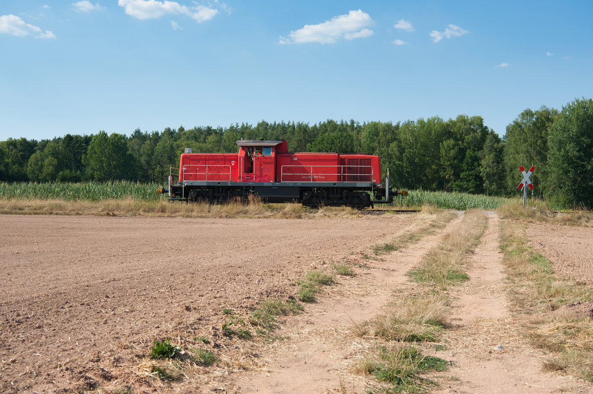 294 750 kurz vor Hirschau auf dem Weg um die Übergabe dort abzuholen, 25.07.2019