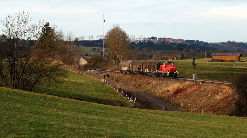 294 797 mit Güterzug vor Günzach (09.01.2014)