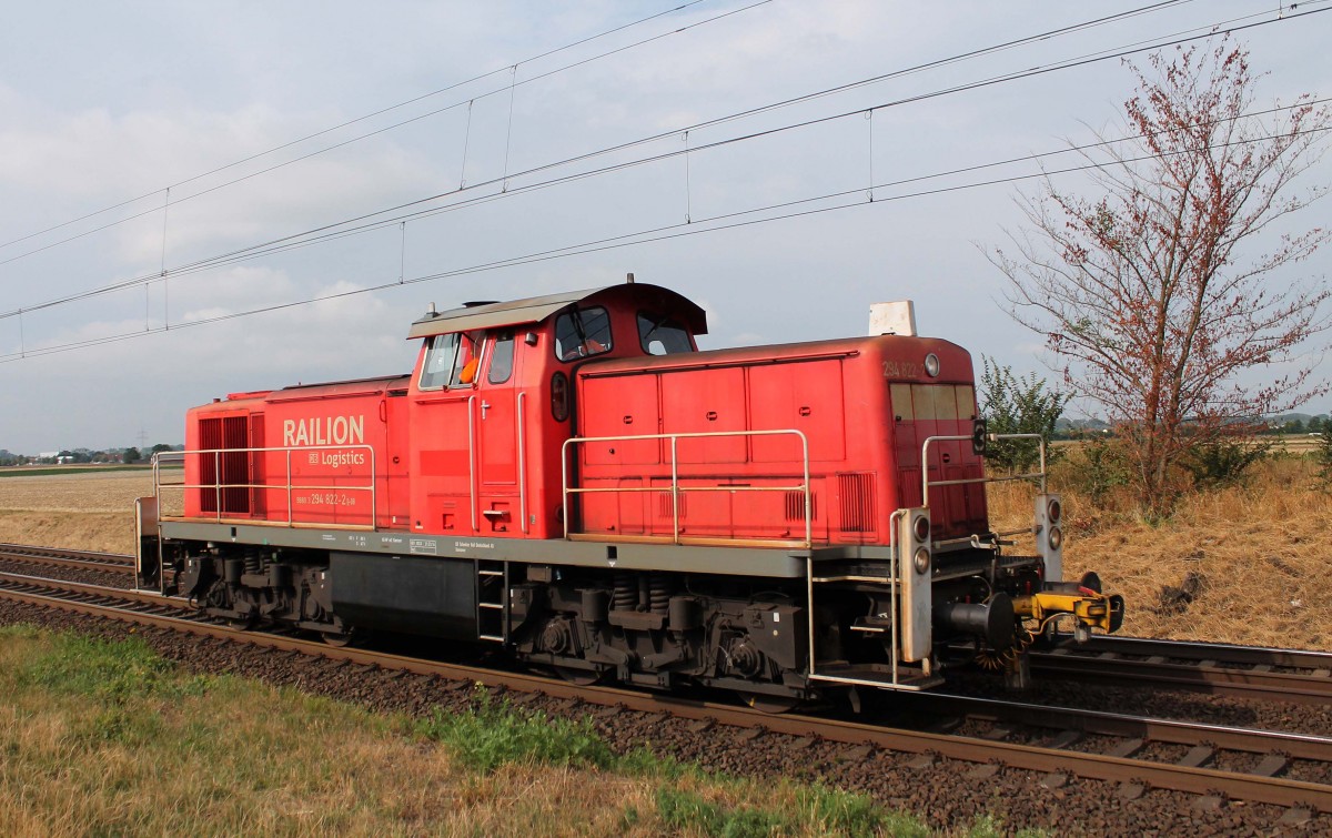 294 822-2 am 14.8.2015 auf der Riedbahn