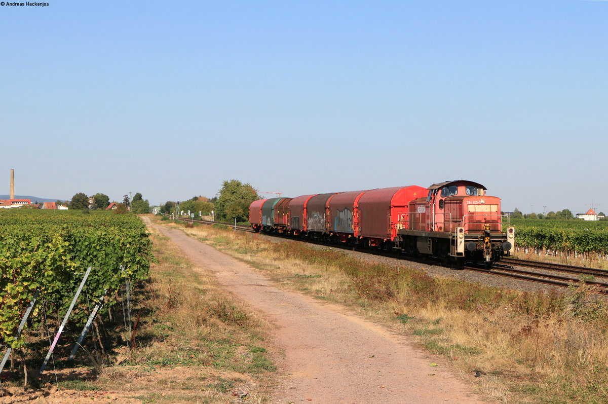 294 825-5 mit dem EZ 55043 (Neustadt(Weinstr)Hbf-Landau Hbf) bei Edenkoben 21.9.20