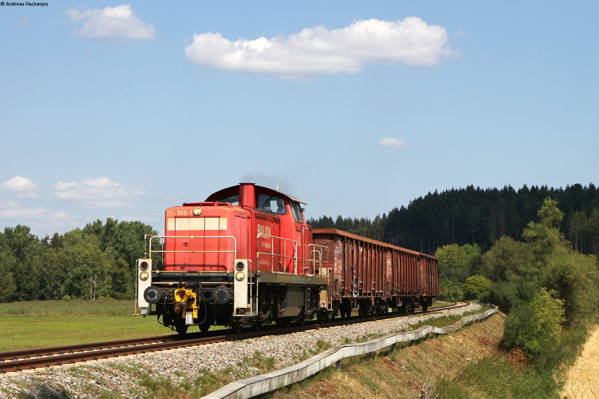 294 868-5 mit dem EK 55840 (Deißlingen-Villingen(Schwarzw)) bei Schwenningen 20.8.18