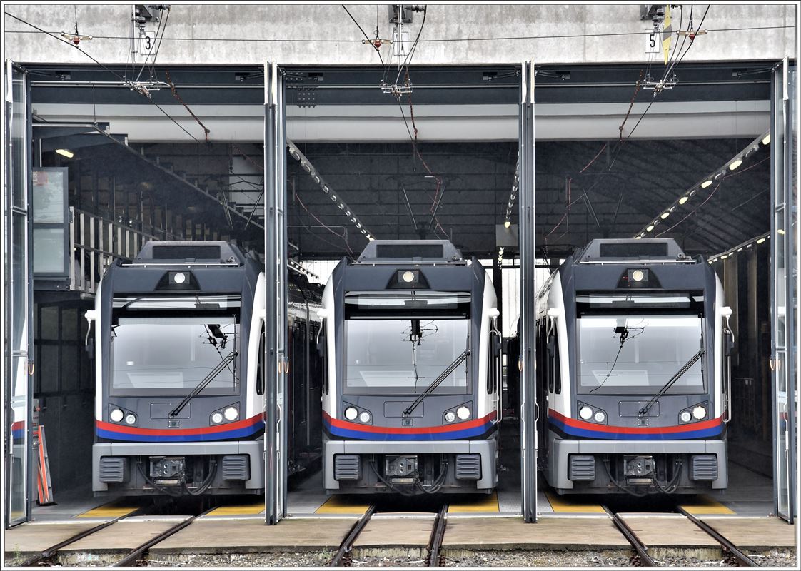 3 Diamanten im Depot Bremgarten. (01.09.2017)