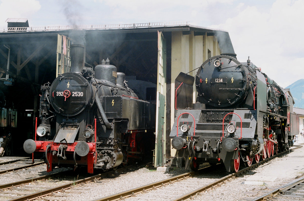 30.05.1993, „Dampflokfest in Selzthal“, neben bzw. im Schuppen stehen die Star-Schnellzuglok 12.14 und 392 2530.