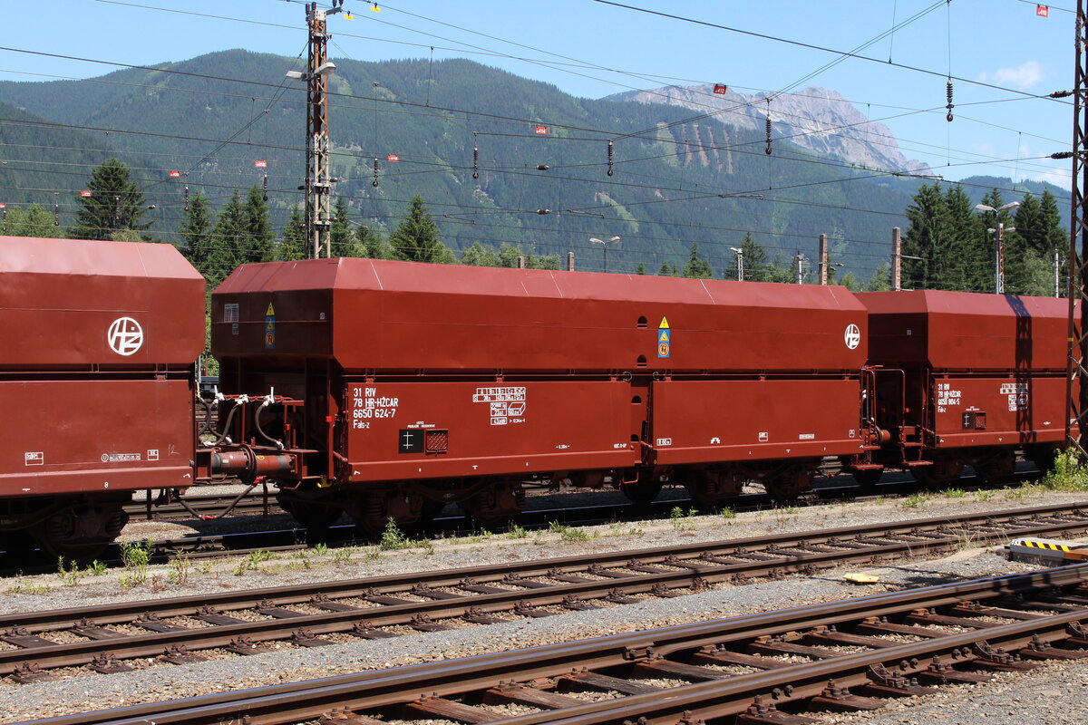 31 RIV
78 HR-HZCAR
6650 624-7
Fals-z

Bahnhof Selzthal am 22.6.2021