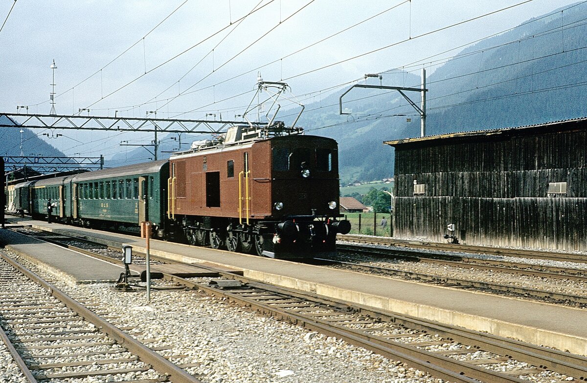 313  Zweisimmen  19.06.81