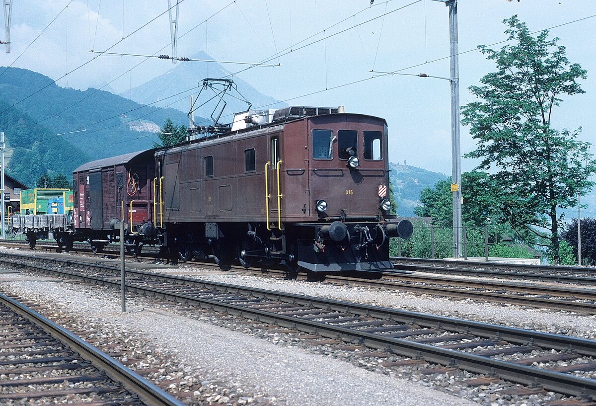315  Leissigen  22.06.88