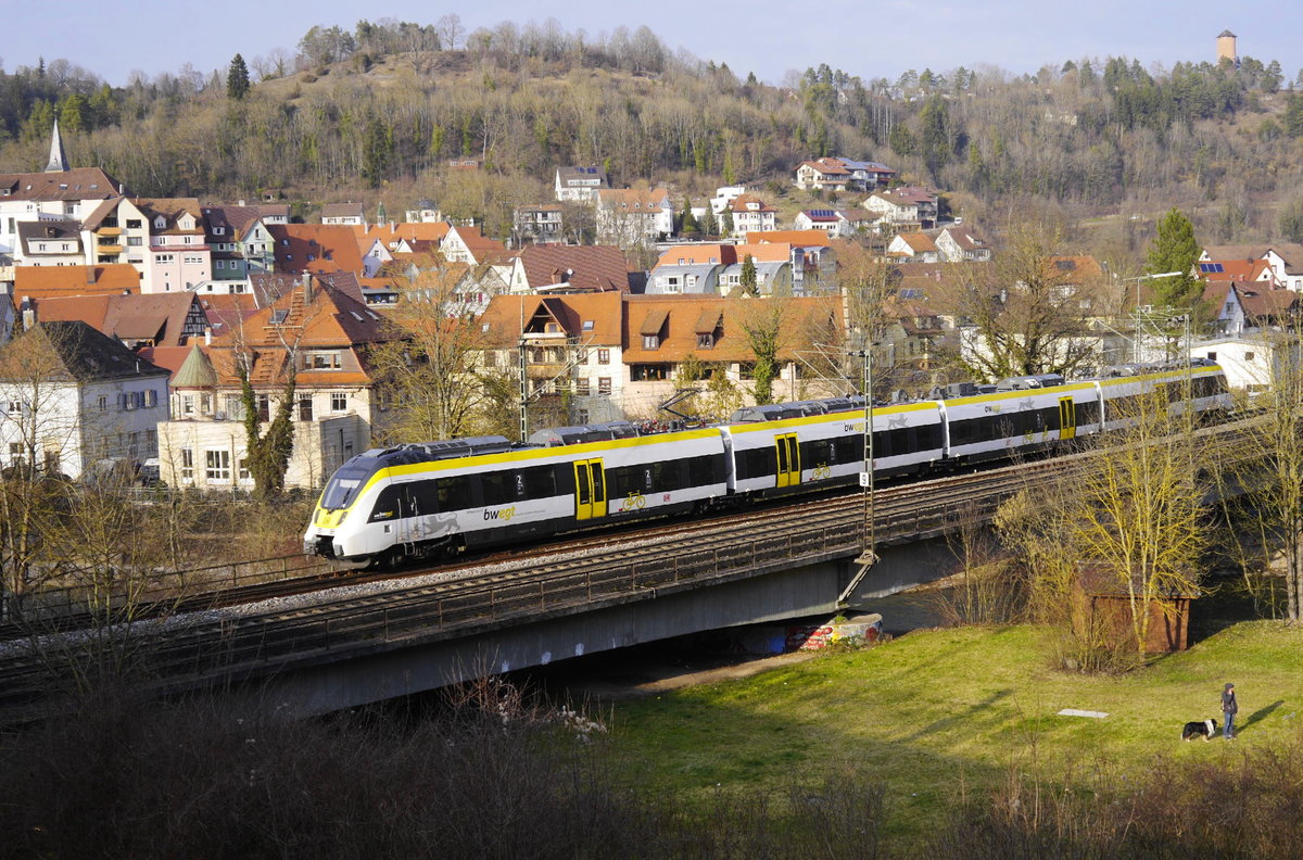 3442 209 als RE Stuttgart - Rottweil auf der Neckarbrücke bei Horb (5.2.18).