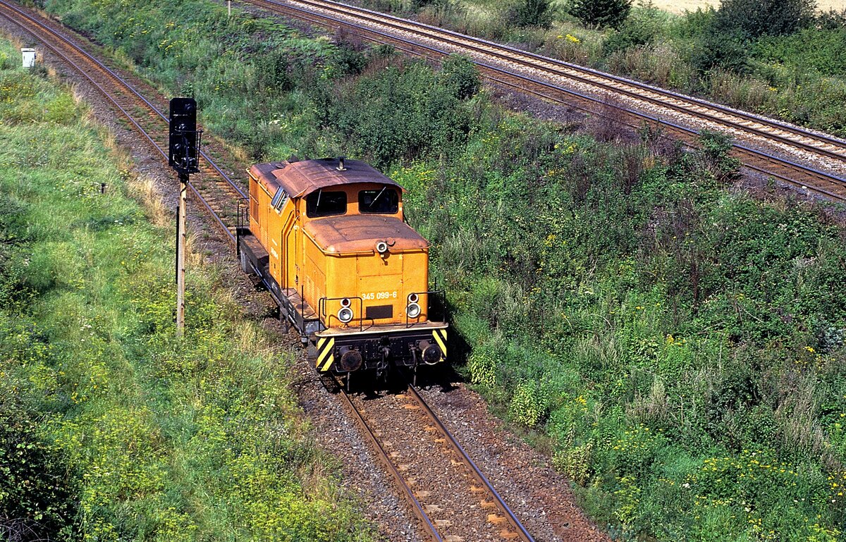 345 099  bei Zeitz  11.08.93