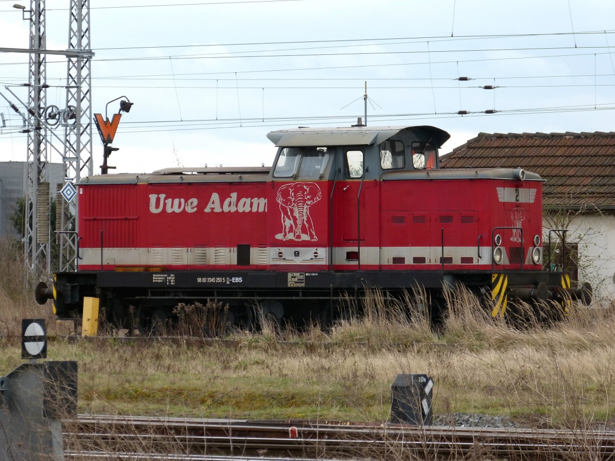 345 250-5 noch im Farbkleid von Uwe Adam aber in inzwischen im Dienste der EBS (Erfurter Bahnservice. Der Uwe Adam - Elefant fühlt sich mit sicher wohl in der Steppenlandschaft des Bahnhofes. 22.03.2014 Nordhausen