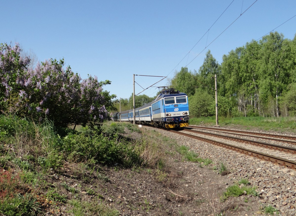 362 129-9 hier am 13.05.15 mit einem Schnellzug in Chotikov.