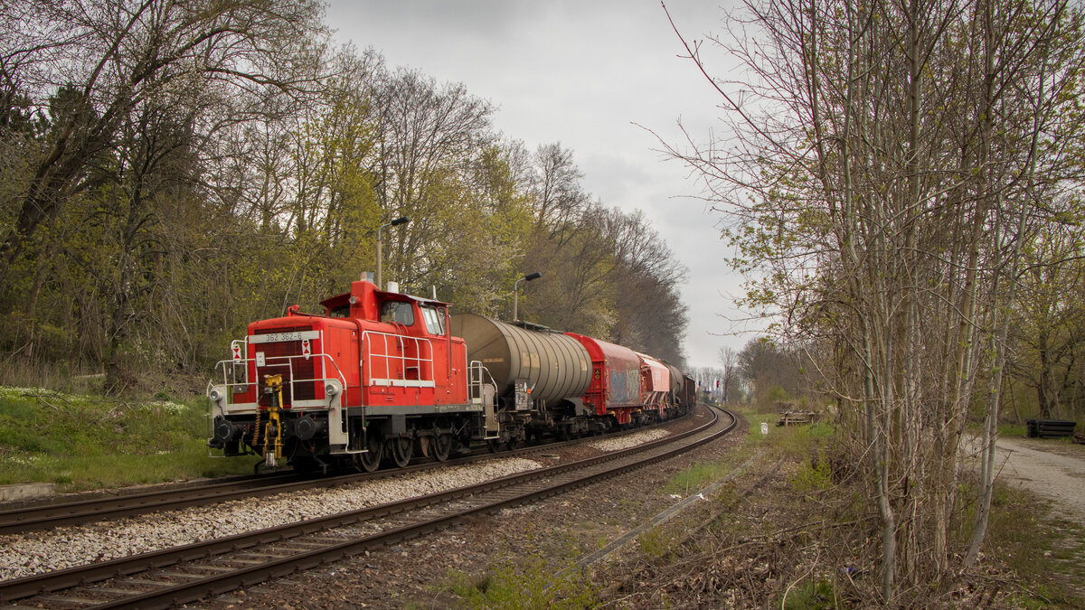 362 362-6 - Haynsburg 30.04.21