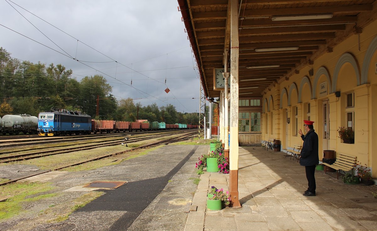 363 010-0 mit einem Leerholzzug zu sehen am 06.10.17 in Dasnice.