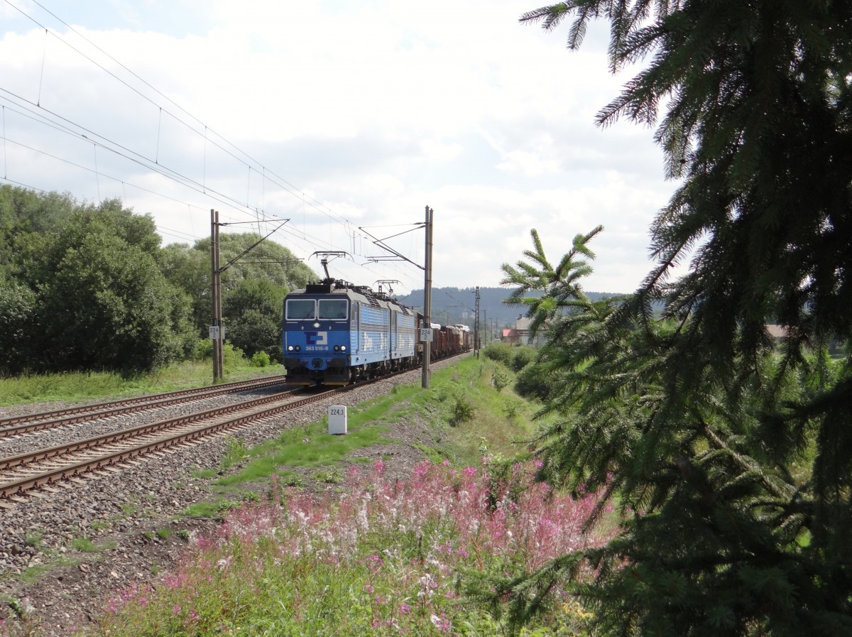 363 015 und 363 018 zu sehen am 01.08.14 mit einem Güterzug in Chotikov.
