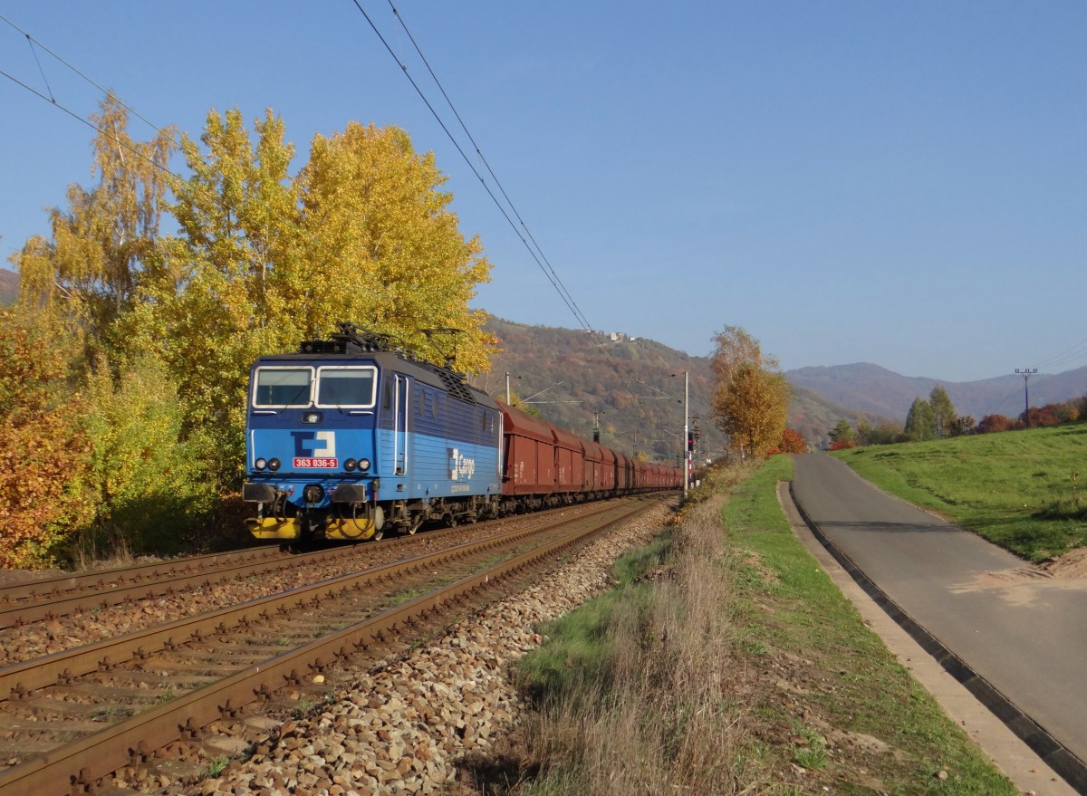 363 036-5 zu sehen am 31.10.15 bei Sebuzín.
