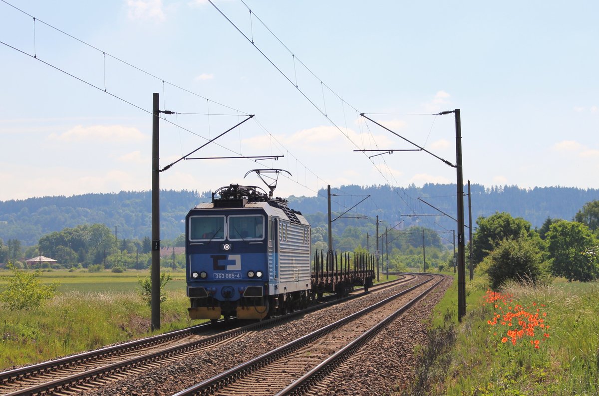 363 065-4 zu sehen am 14.06.17 mit einem kurzen Güterzug in Chotikov.
