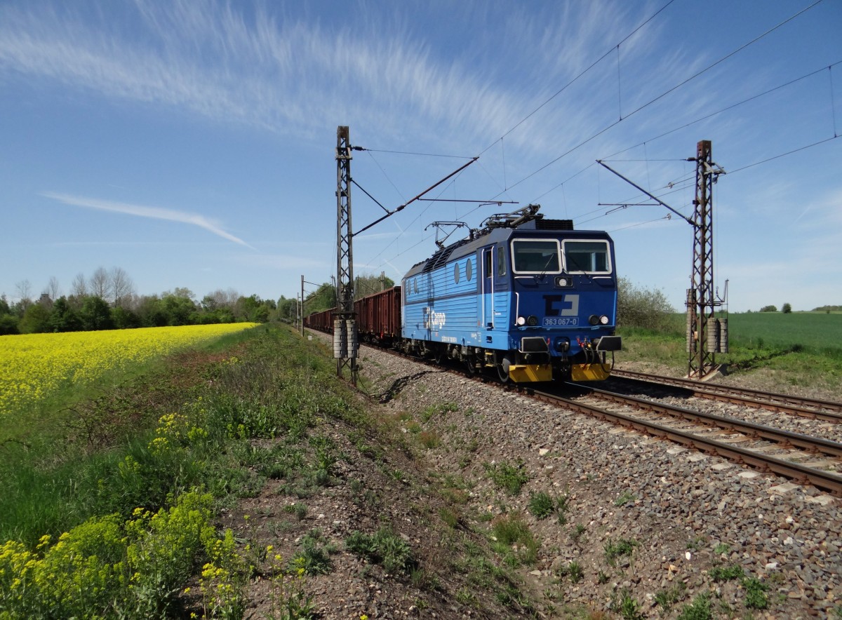 363 067-0 hier am 13.05.15 mit einem Güterzug in Chotikov.