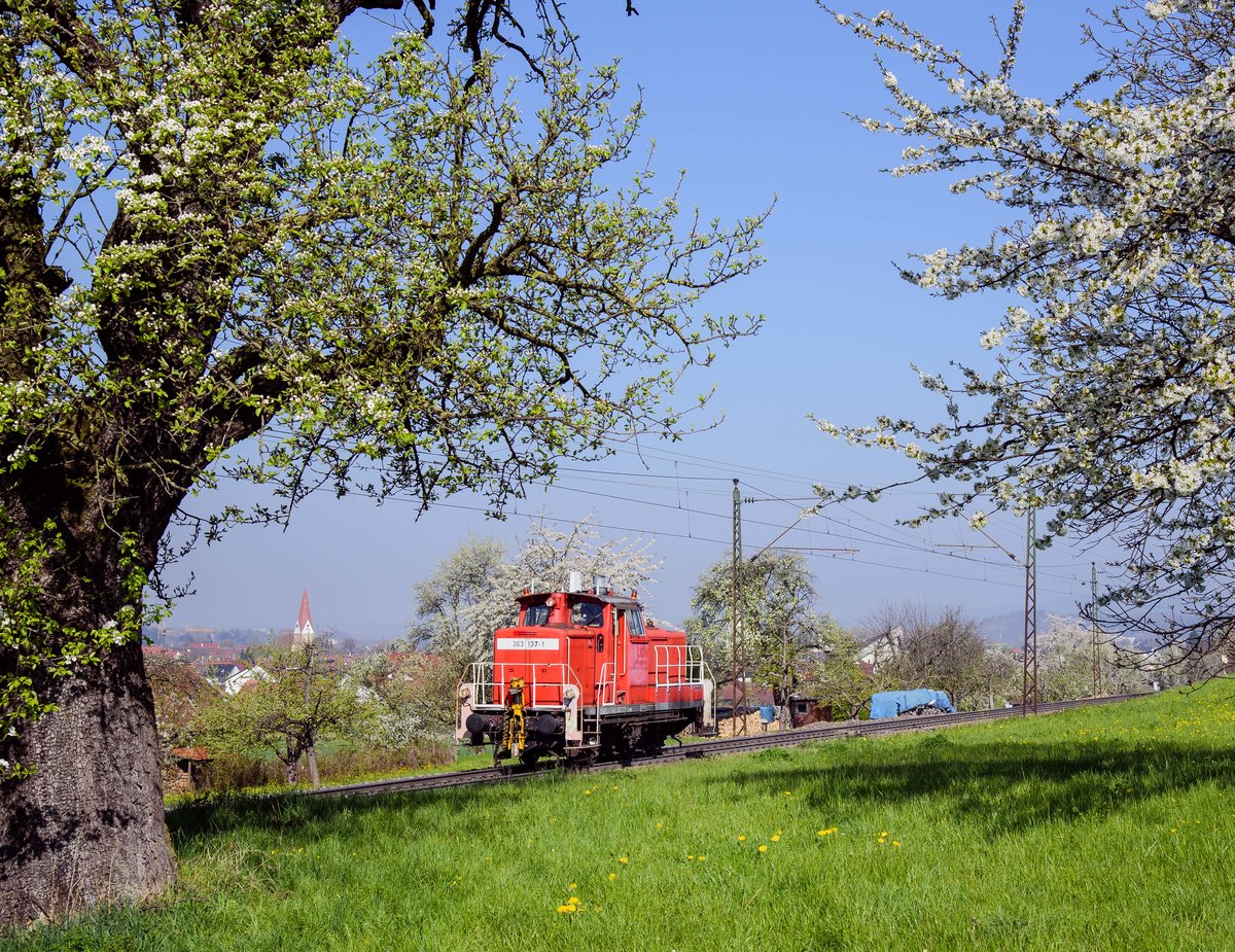 363 137 LZ am 9.4.2017 bei Kuchen in Richtung Ulm.