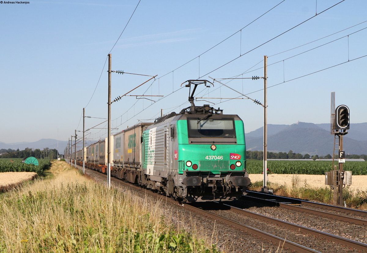 37046 mit dem 40360 (Gallarate-Muizen Goederen) bei Ebersheim 5.7.19