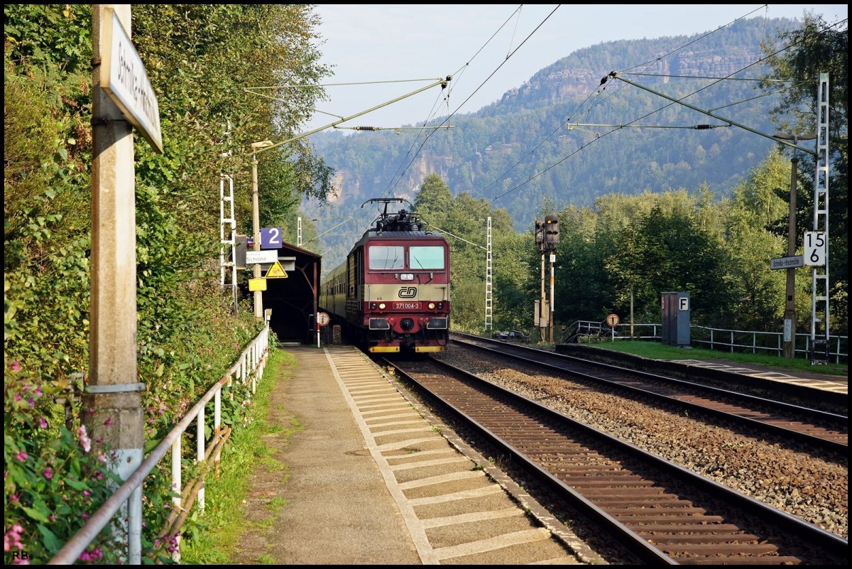 371 004 im Haltepunkt Schmilka-Hirschmühle auf ihrer Fahrt in Richtung Tschechien. Aufgenommen am 16.09.2014