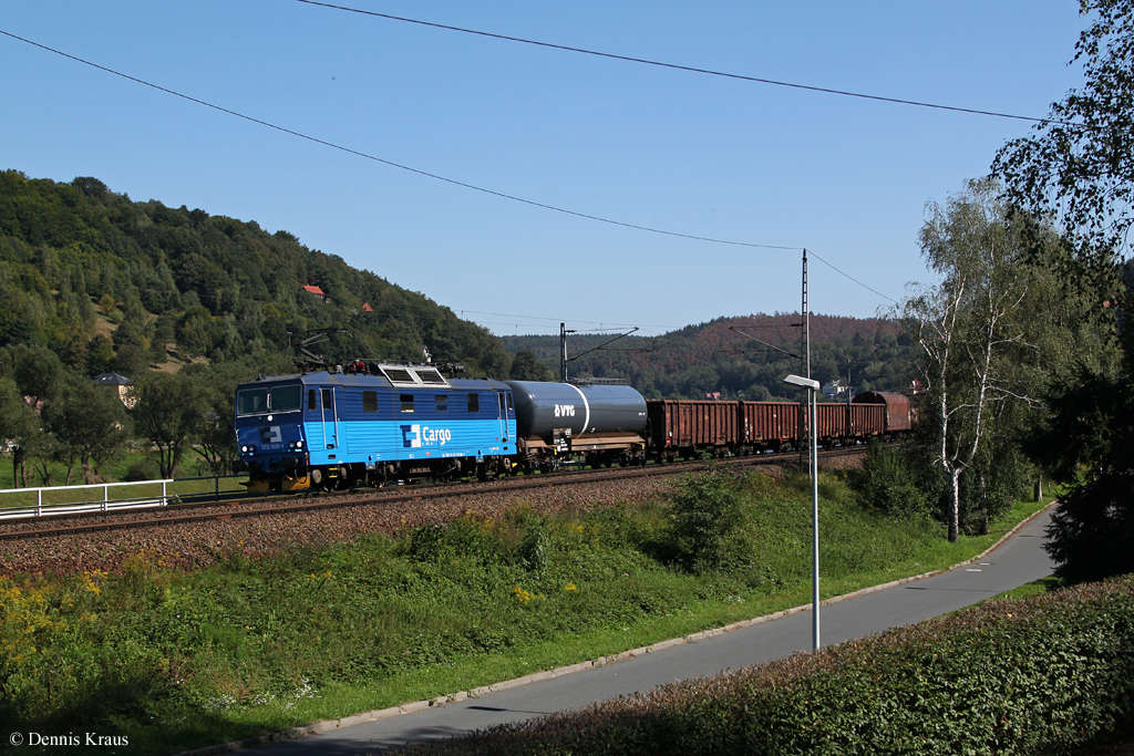 372 009 mit einem gemischten Gterzug am 07.09.2013 in Knigstein.