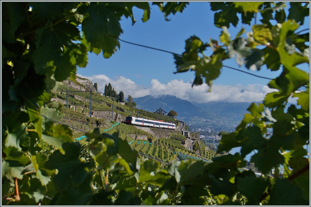 38 Promille Steigung und 100 Öchsle! - Das Lauvaux oberhalb von St-Saphorin im Oktober 2015...
Oder, wie selbst ein alltäglicher Domino etwas Farbe in den Alltag bringt: Die S 31 von Chexbres nach Vevey am 4. 10.2015